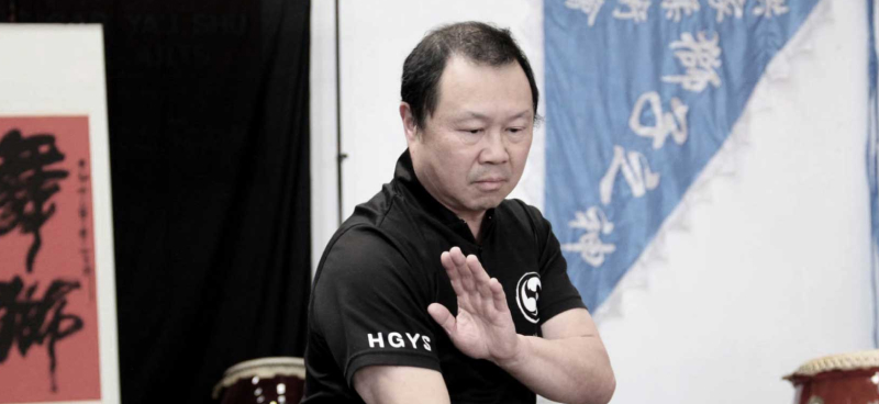 Hung Gar Yau Shu tai chi 